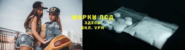 прущие грибы Арсеньев