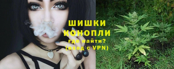 прущие грибы Арсеньев