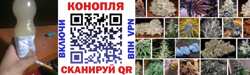 Конопля конопля  Тавда 